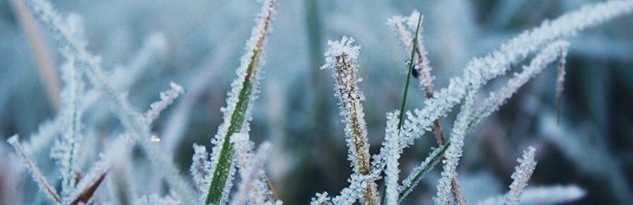 ����: 6264.com.ua