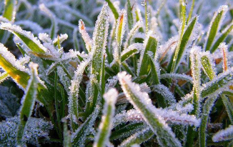  ��������� ������������� �������� ������� ���������� 