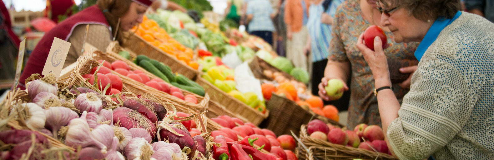  ������ �������� ������� ����������������� ����� ���������� ���� ���������� 