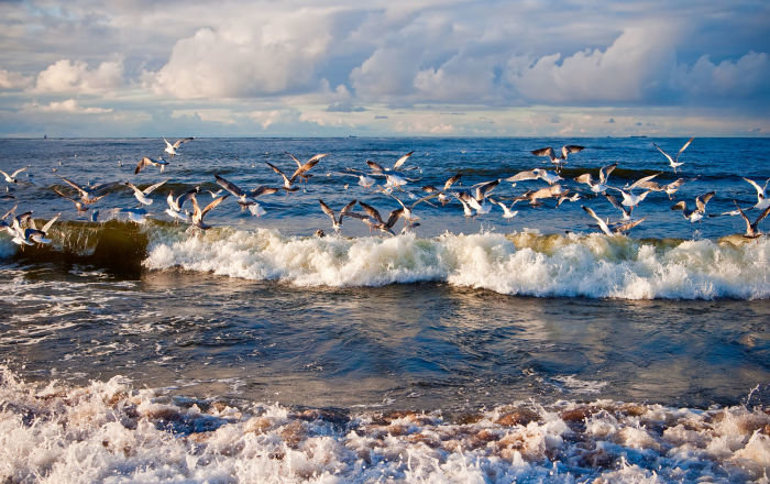  ������� ���� covid-19 ���������� ������������ 