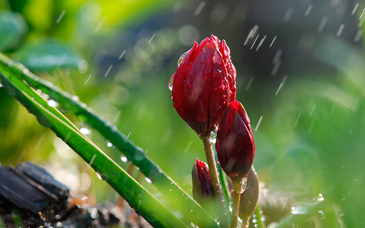  ����� ������� ���������� �������� ������� ��������� ��� 