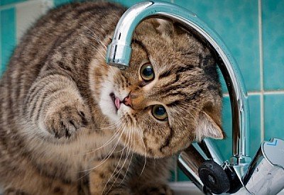  ������������� ��������� ��� ����� ��������� ���� ����� 