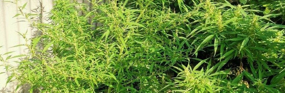  ������������ ������ ������ ������ �������� �������������� 