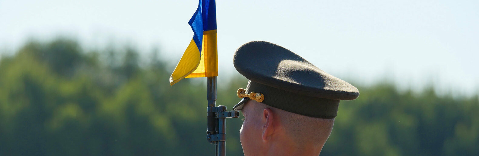  ������� �������� ��� ������� ������ 