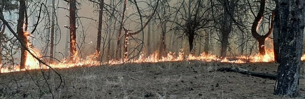 ����: 6264.com.ua