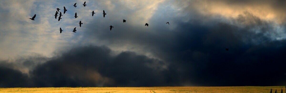  ������� ������� �������� ������ ��������� ���� ����� �������� 