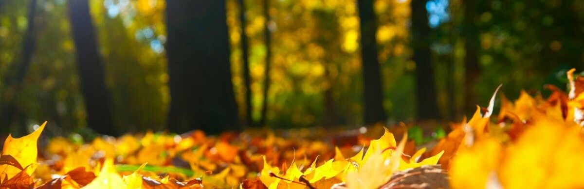  ���� ����� ������ ��� ��� ������� �������� 