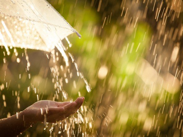  ������ �������� ���������� ������� ��������� ����� 