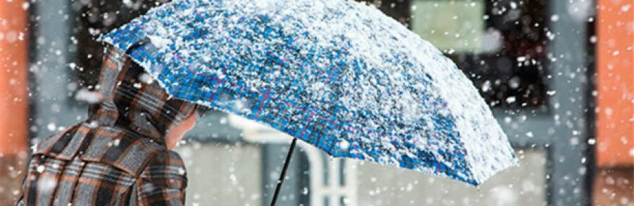  ������� ���� �������� ������� ������ ���� 