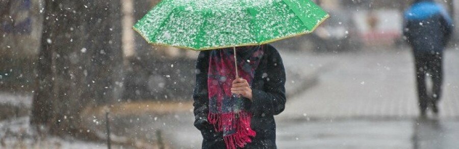  �������� ��������������� ���� ������� ����� ������� ����� 