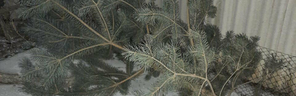 ����: 6264.com.ua