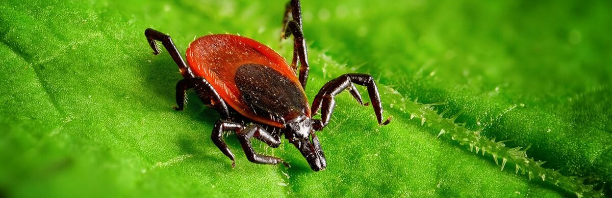 ����: 6264.com.ua