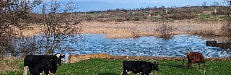 МОЗ вводить посилений контроль якості води у Краматорському районі