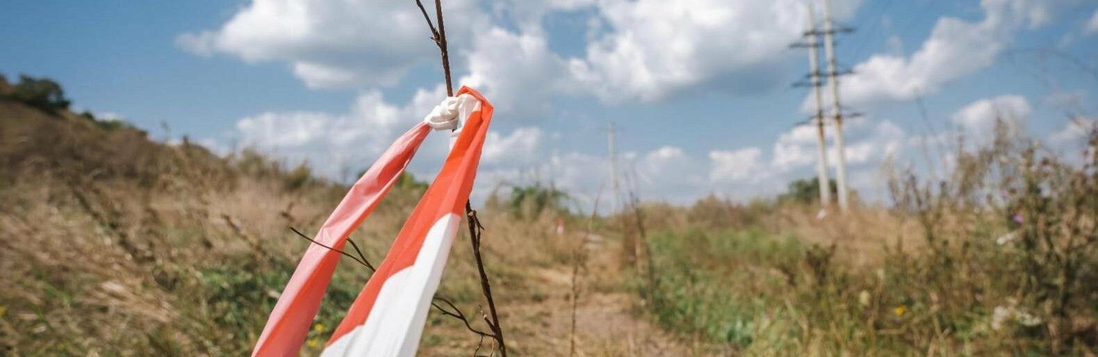 За добу піротехніки виявили 427 вибухонебезпечних предметів у Покровському, Краматорському та Волноваському районах 