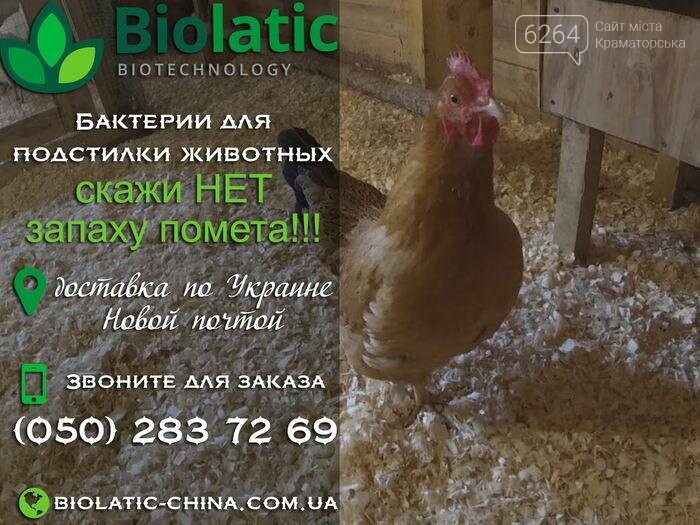 Курятник без запаха, фото-1 Курятник без запаха, фото-1