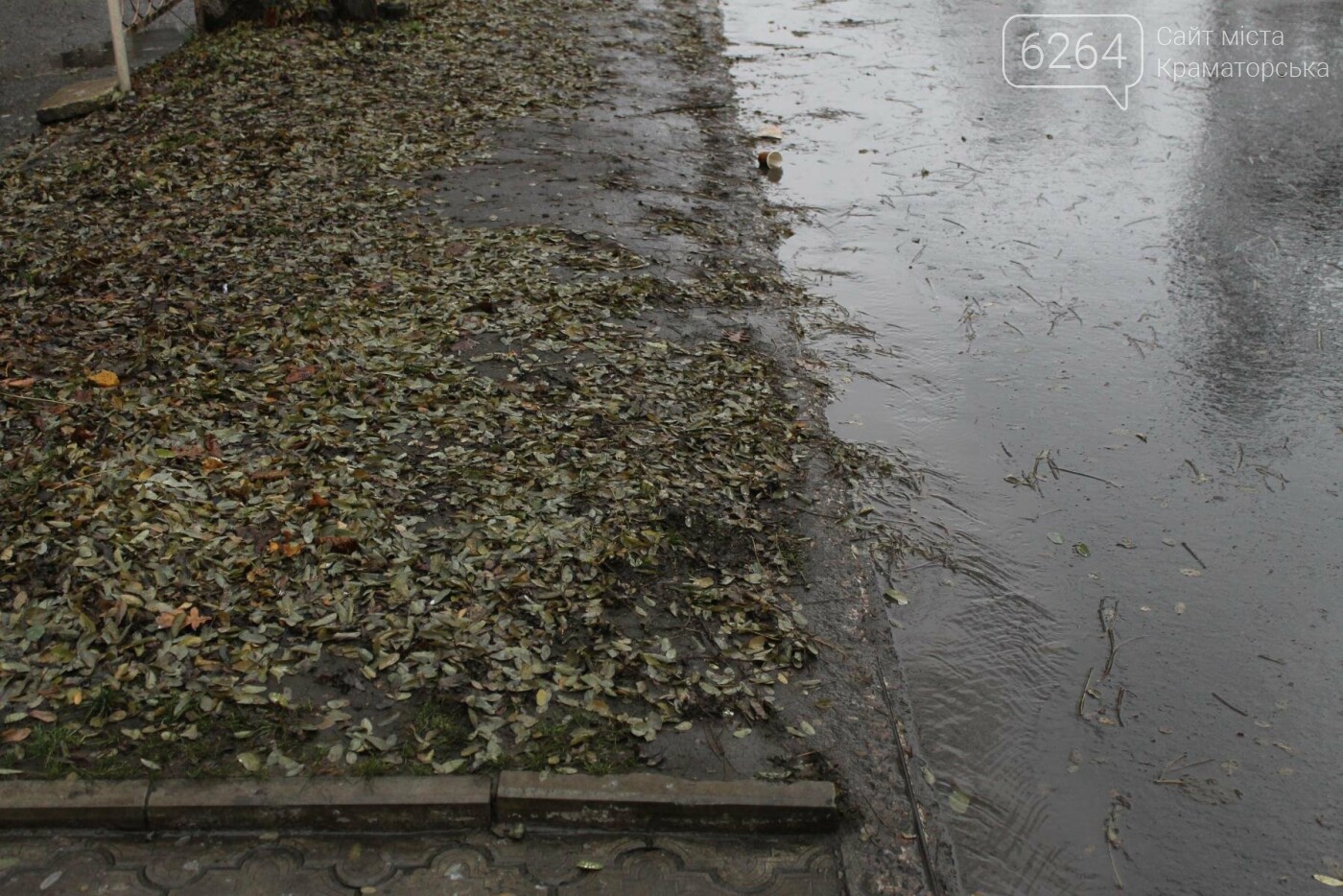 Краматорские коммунальщики не справляются с листвой на горо..., фото-1 Краматорские коммунальщики не справляются с листвой на городских улицах, фото-1