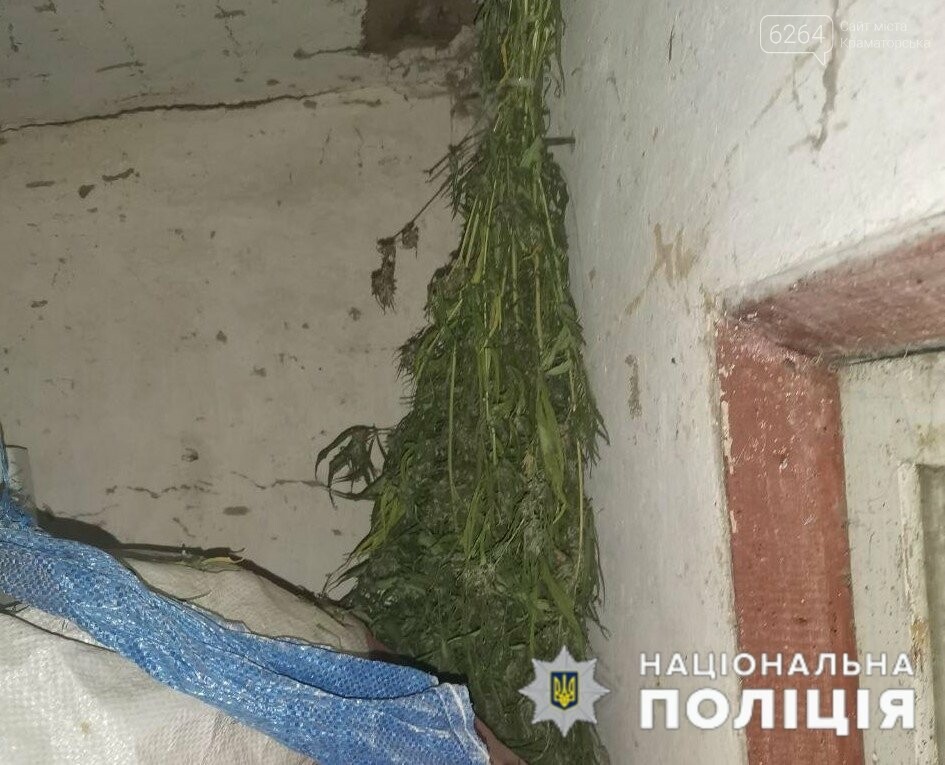 Поліцейські вилучили у краматорчанина домашній врожай конопель, фото-1 Поліцейські вилучили у краматорчанина домашній врожай конопель, фото-1