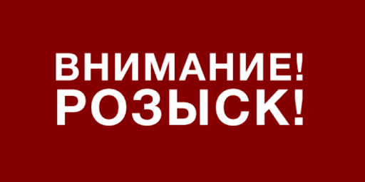 Полиция Краматорска разыскивает без вести пропавшую студентку